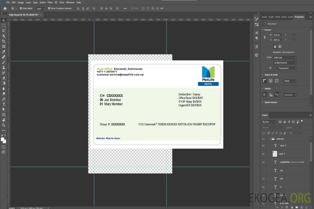 Carte d'assurance maladie du Népal template